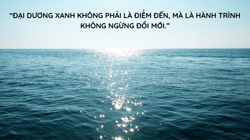 Sách Chiến Lược Đại Dương Xanh: Bí quyết tạo thị trường mới.