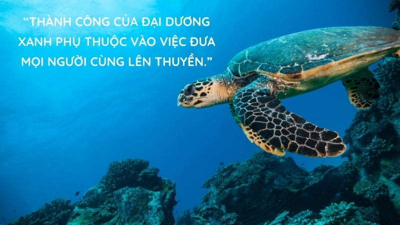 Sách Chiến Lược Đại Dương Xanh: Bí quyết tạo thị trường mới.