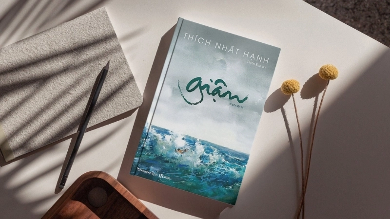 Review sách Giận: Cuốn sách sâu sắc, thay đổi cách nhìn cảm xúc.