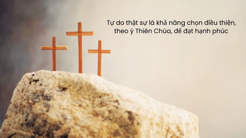 Sách Giáo Lý Hội Thánh Công Giáo PDF: Tải miễn phí, khám phá đạo lý Công giáo.