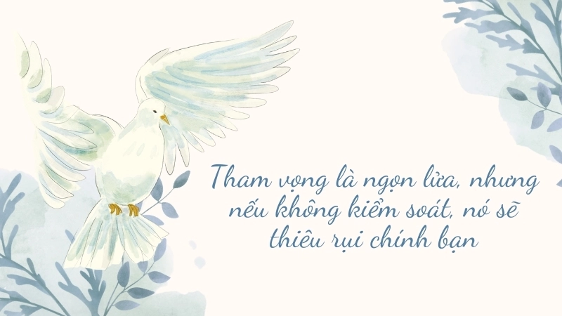 Cảm nhận sách Hai Số Phận: Hành trình vượt nghịch cảnh.