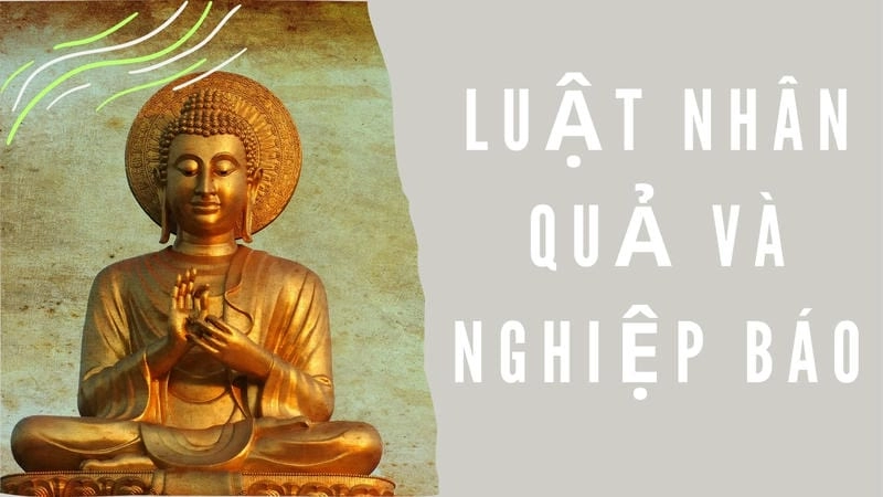 Sách hành trình về phương đông – nguồn cảm hứng cho những ai tìm kiếm ý nghĩa cuộc đời.