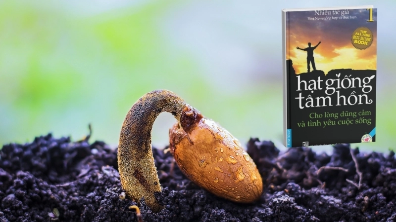 Sách Hạt Giống Tâm Hồn: Gieo mầm yêu thương, truyền cảm hứng sống.