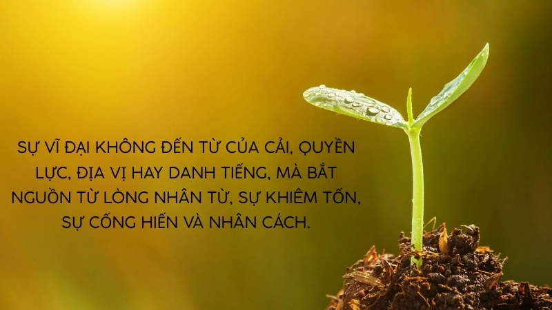 Sách Hạt Giống Tâm Hồn: Gieo mầm yêu thương, truyền cảm hứng sống.