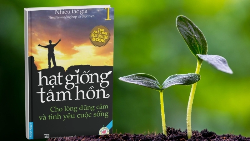Cuốn sách Hạt Giống Tâm Hồn: Câu chuyện khơi dậy ý nghĩa cuộc đời.