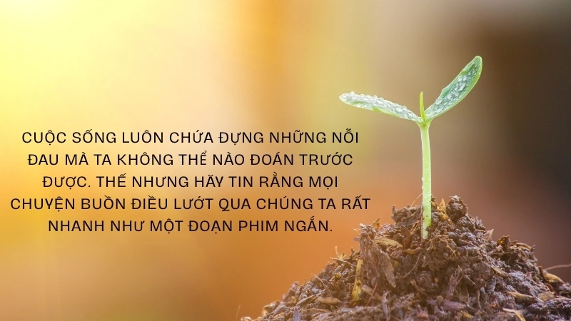 Sách nói Hạt Giống Tâm Hồn: Nghe chuyện, nuôi dưỡng tâm hồn lạc quan.