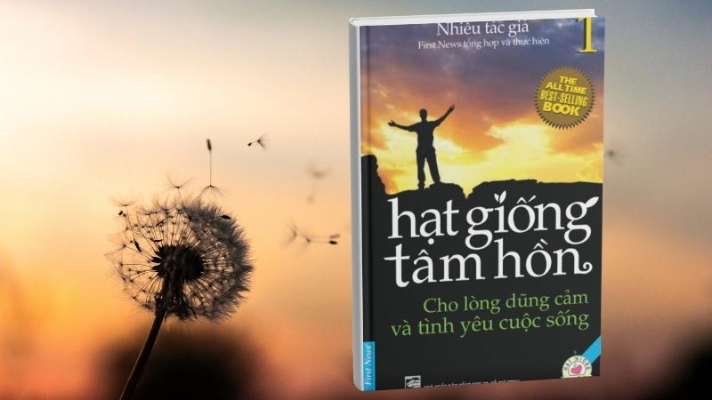 Giới thiệu về cuốn sách Hạt Giống Tâm Hồn: Hành trình tìm hạnh phúc.