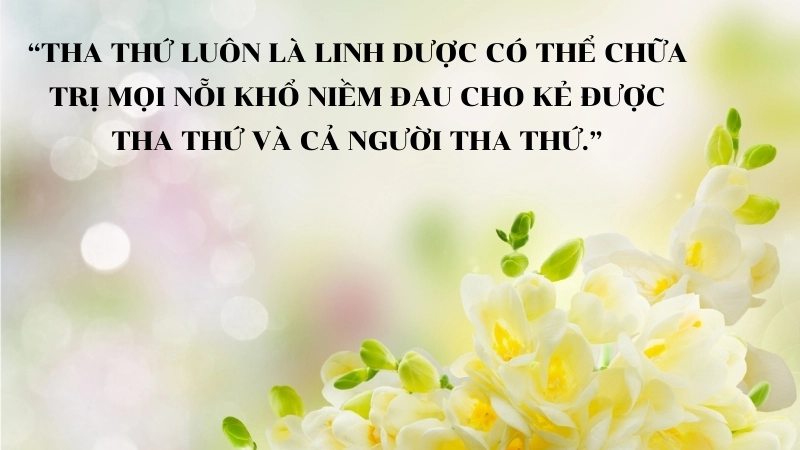 Những câu nói hay trong sách Hiểu Về Trái Tim truyền cảm hứng chữa lành.