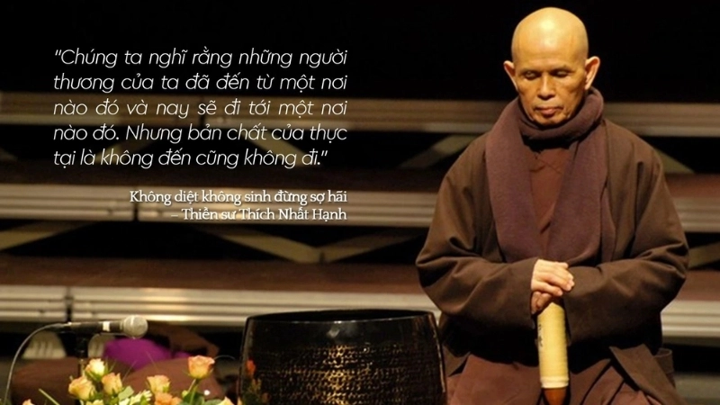 Không Diệt Không Sinh Đừng Sợ Hãi Thích Nhất Hạnh: Sâu lắng.