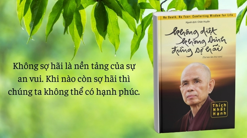 Sách Không Sinh Không Diệt Đừng Sợ Hãi: Hành trình tỉnh thức.
