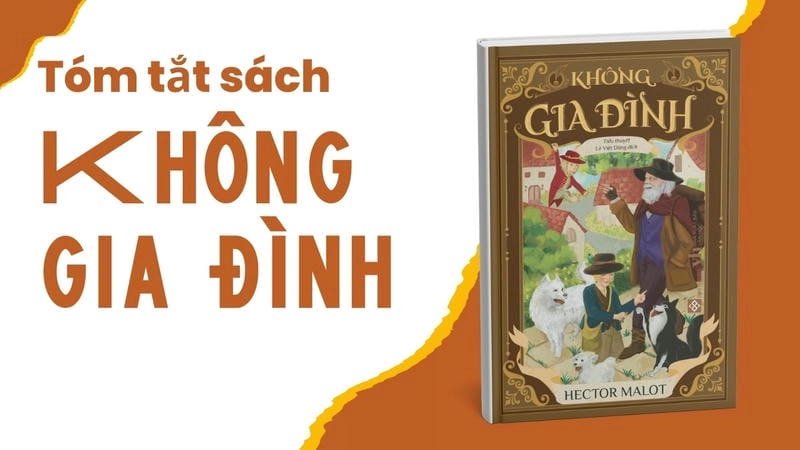Cảm nhận về cuốn sách Không Gia Đình: Một câu chuyện lay động, đầy ý nghĩa.
