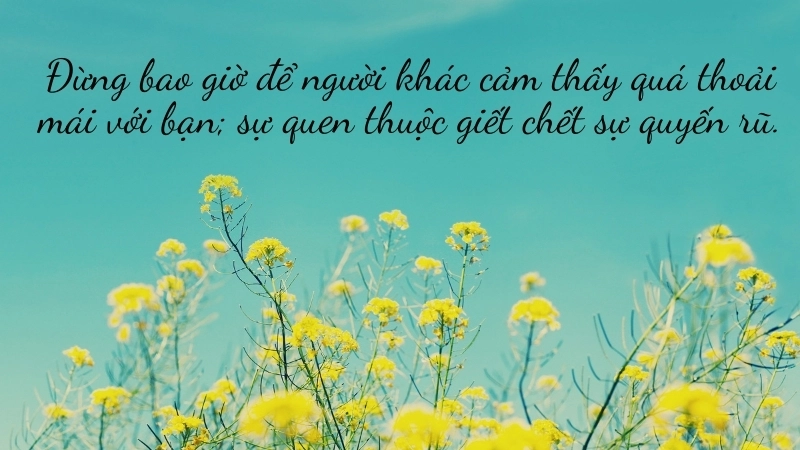 Review sách Nghệ Thuật Quyến Rũ: Đánh giá chi tiết, sâu sắc.
