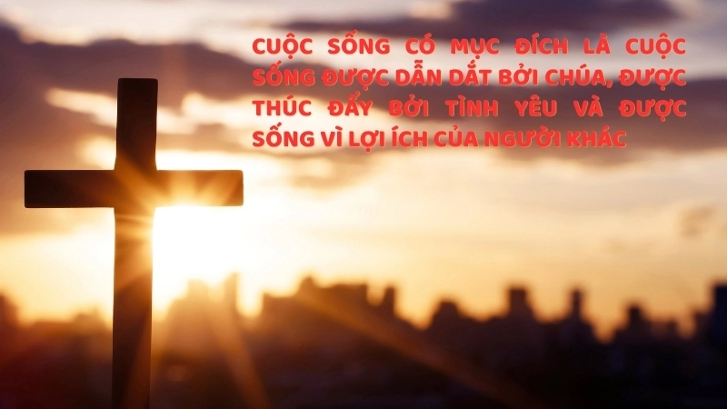 Sách Sống theo đúng mục đích: Bí kíp sống đời có mục đích.
