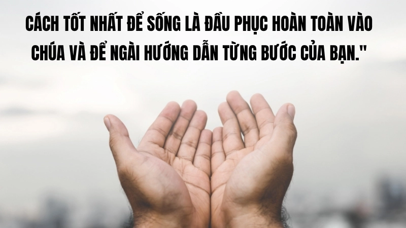 Sách Sống theo đúng mục đích Rick Warren: Cảm hứng tâm linh.