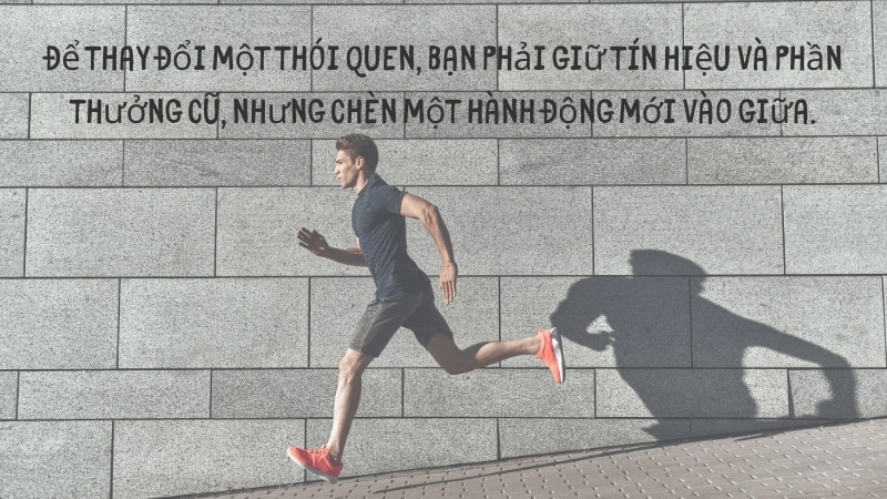 Chuỗi thói quen Sức Mạnh Của Sự Kết Hợp: Thành công bền vững.