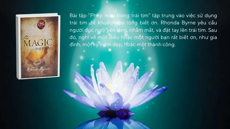 Review sách The Magic: 28 ngày thực hành phép màu thay đổi bạn.