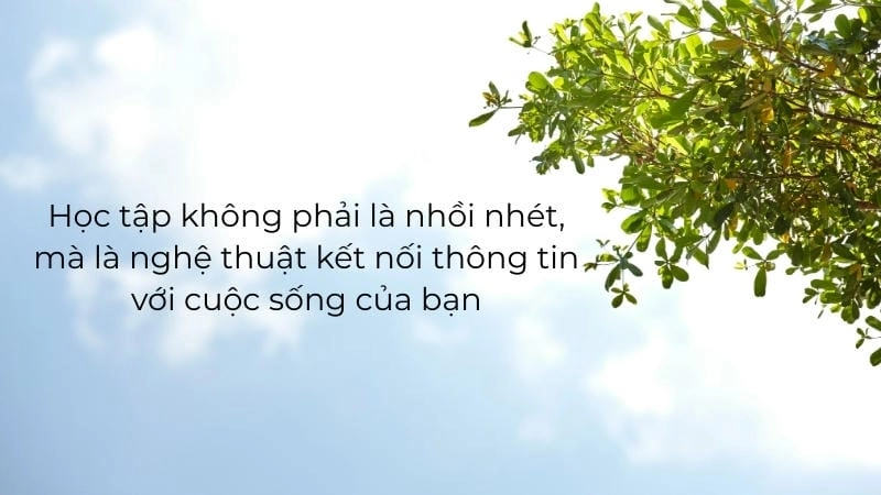 Nội dung cuốn sách Tôi tài giỏi bạn cũng thế: Bí mật học tập siêu đỉnh.