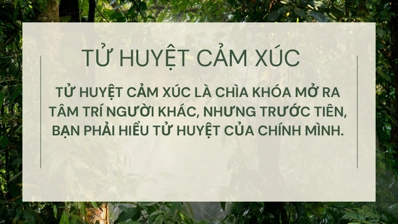 Nghe sách nói Tử Huyệt Cảm Xúc: Audio truyền cảm hứng từ Roy Garn.