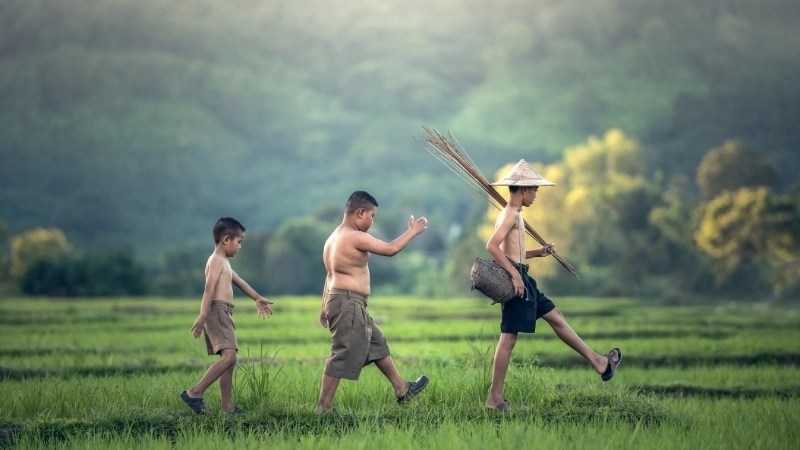 Chủ đề của truyện ăn trộm táo: Lòng bao dung giúp trẻ nhận ra lỗi lầm.