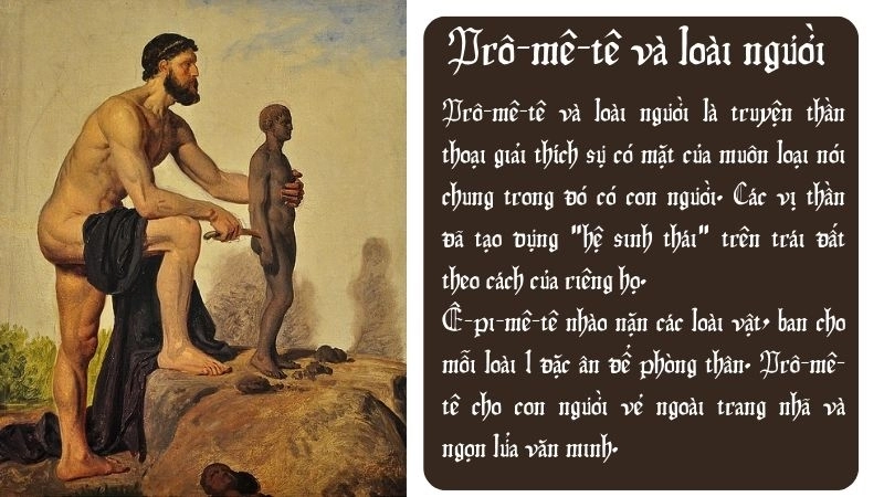 Tóm tắt truyện Pro Mê Tê và loài người ngắn gọn, súc tích