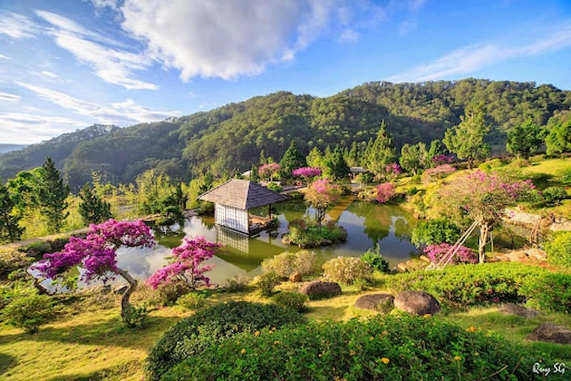 Thiên đường Đà Lạt giữa tầng mây trắng lững lờ