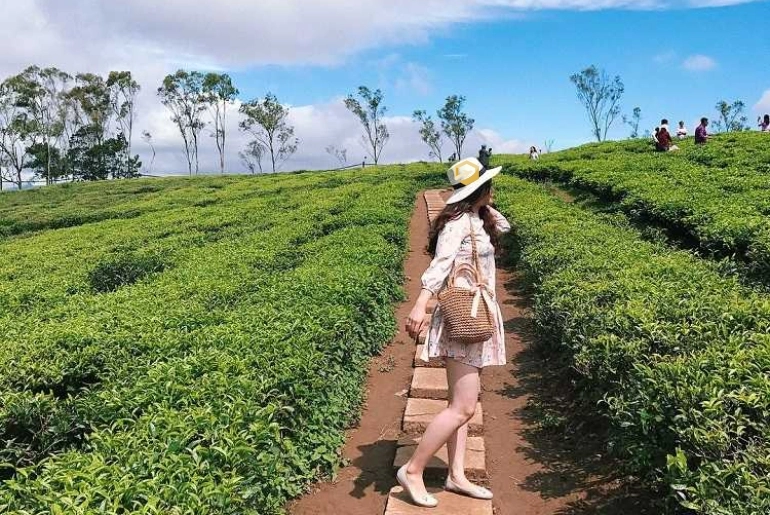 Mai em về Bảo Lộc với anh không để mây ôm núi nhớ