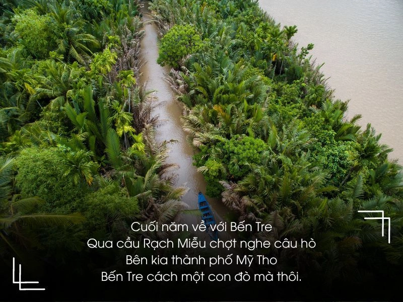 Dừa nghiêng bóng mát Bến Tre quê hương tôi