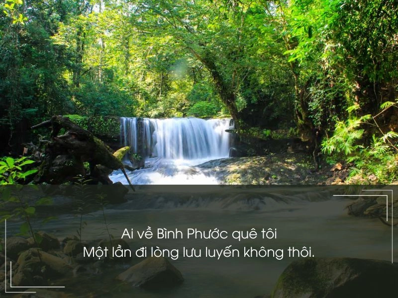 Hỏi thăm chút về Bình Phước bây giờ