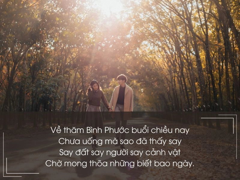 Nắng ngập lối nhỏ Bình Phước vào xuân