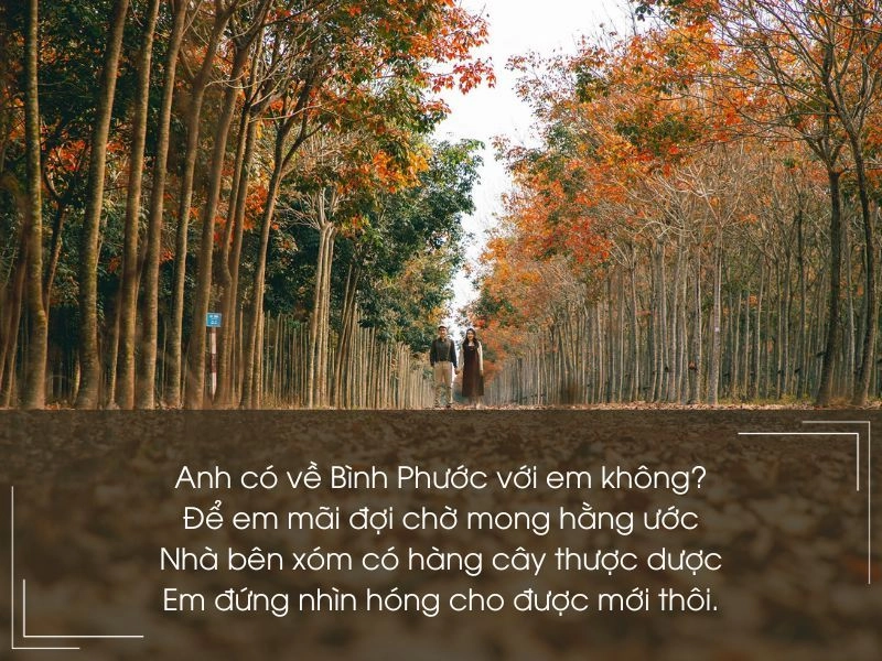 Trọn nghĩa tình Bình Phước thân thương
