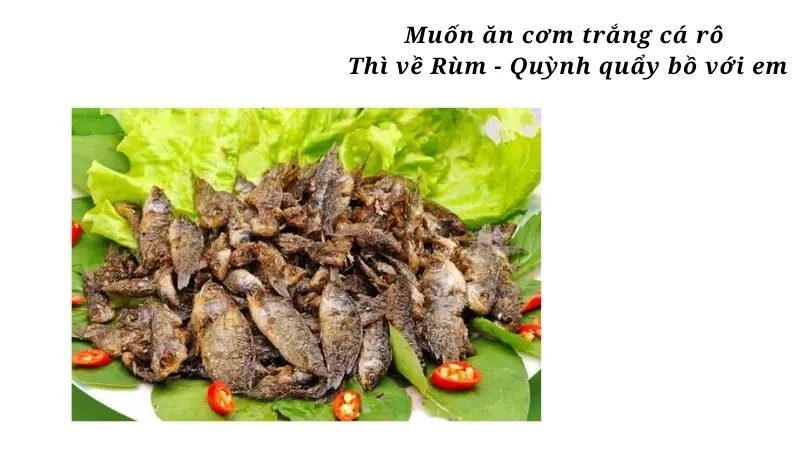 Muốn ăn cơm trắng cá rô Thì về Rùm - Quỳnh quẩy bồ với em