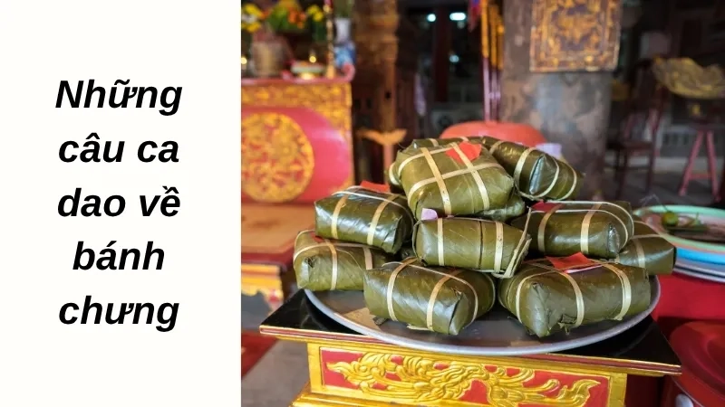 Những câu ca dao về bánh chưng