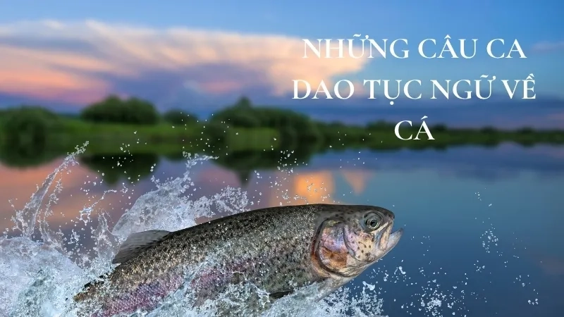 Những câu ca dao tục ngữ về cá