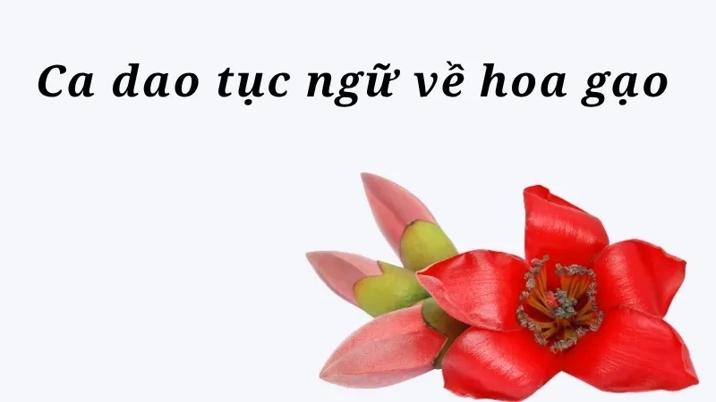 Ca dao tục ngữ về hoa gạo