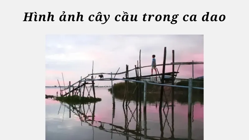 Hình ảnh cây cầu trong ca dao