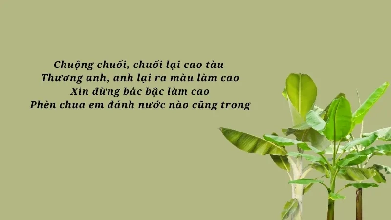 Chuộng chuối, chuối lại cao tàu Thương anh, anh lại ra màu làm cao