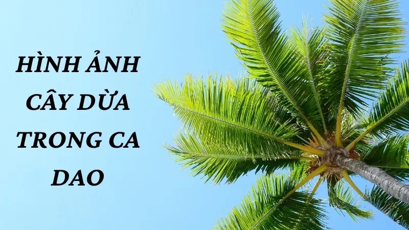Hình ảnh cây dừa trong ca dao