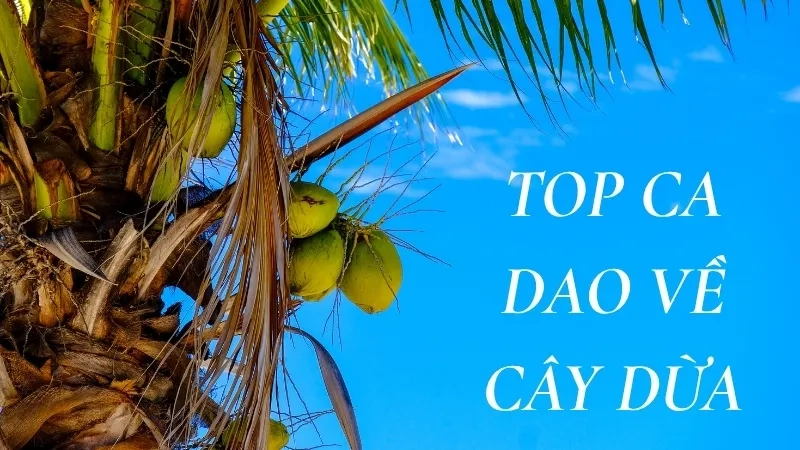 Top ca dao về cây dừa