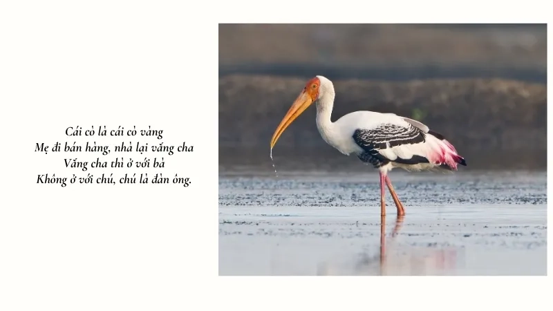  Cái cò là cái cò vàng Mẹ đi bán hàng, nhà lại vắng cha