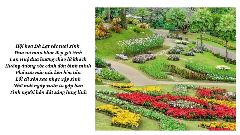 Hội hoa Đà Lạt sắc tươi xinh Đua nở màu khoe đẹp gợi tình