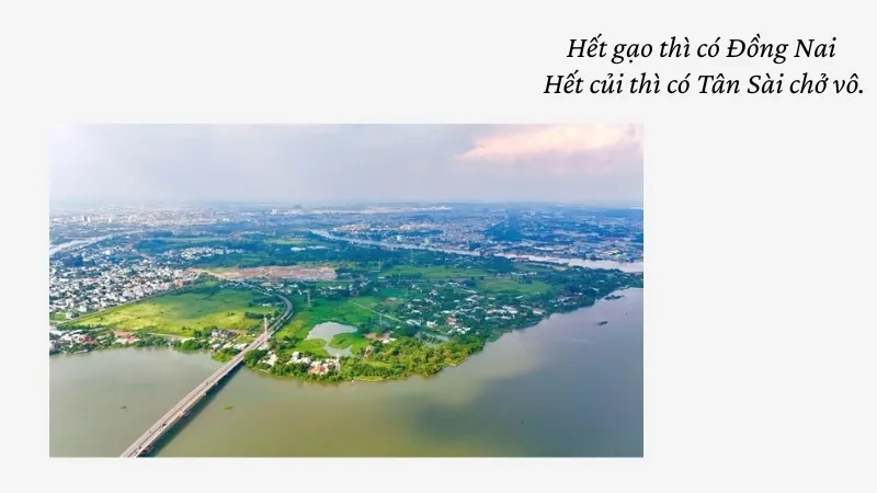 Hết gạo thì có Đồng Nai Hết củi thì có Tân Sài chở vô.