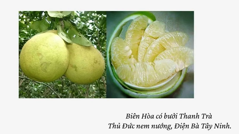 Biên Hòa có bưởi Thanh Trà Thủ Ðức nem nướng, Ðiện Bà Tây Ninh.