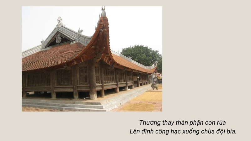 Thương thay thân phận con rùa Lên đình cõng hạc xuống chùa đội bia
