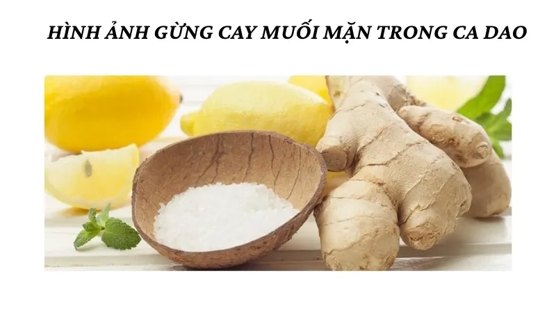 Hình ảnh gừng cay muối mặn trong ca dao