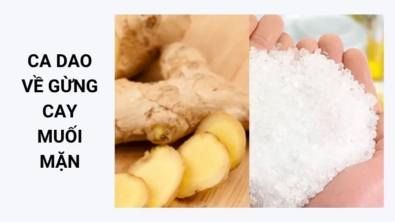 Ca dao về gừng cay muối mặn