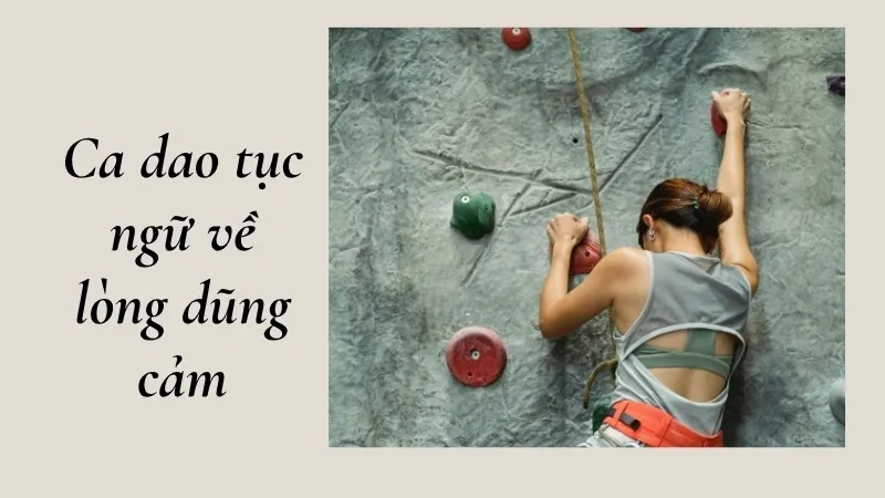 Ca dao tục ngữ về lòng dũng cảm