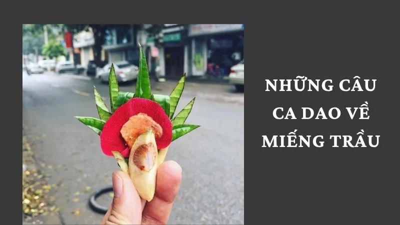 Những câu ca dao về miếng trầu