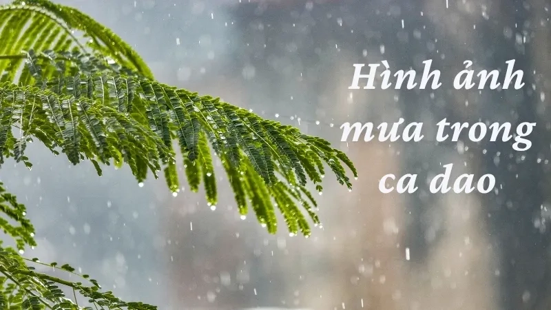 Hình ảnh mưa trong ca dao