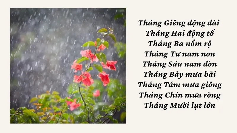 Tháng Giêng động dài Tháng Hai động tố