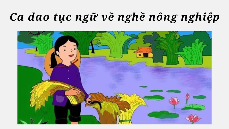 Ca dao tục ngữ về nghề nông nghiệp